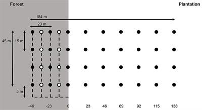 Minimal Spillover of Native <mark class="highlighted">Small Mammals</mark> From Bornean Tropical Forests Into Adjacent Oil Palm Plantations